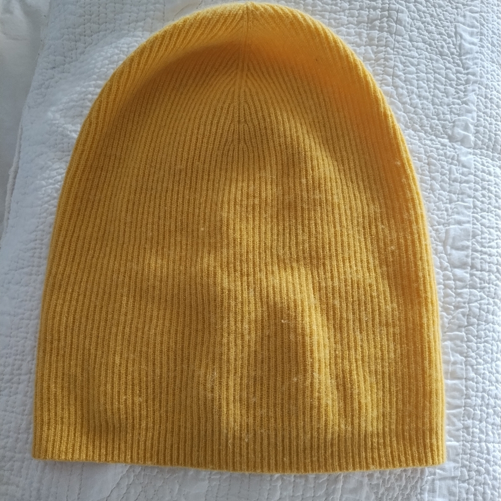 Aritzia Auxiliary 100% Cashmere Slouchy Hat